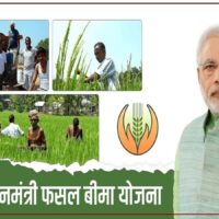PMFBY News Pradhan Mantri Fasal Bima Yojana government give farmers premium Agriculture news in hindi pmfby, pradhan mantri fasal bima yojana, crop insurance, agriculture ministry, narendra singh tomar, meri policy mere hath, प्रधानमंत्री फसल बीमा योजना, पीएमएफबीवाई, फसल बीमा, कृषि मंत्रालय